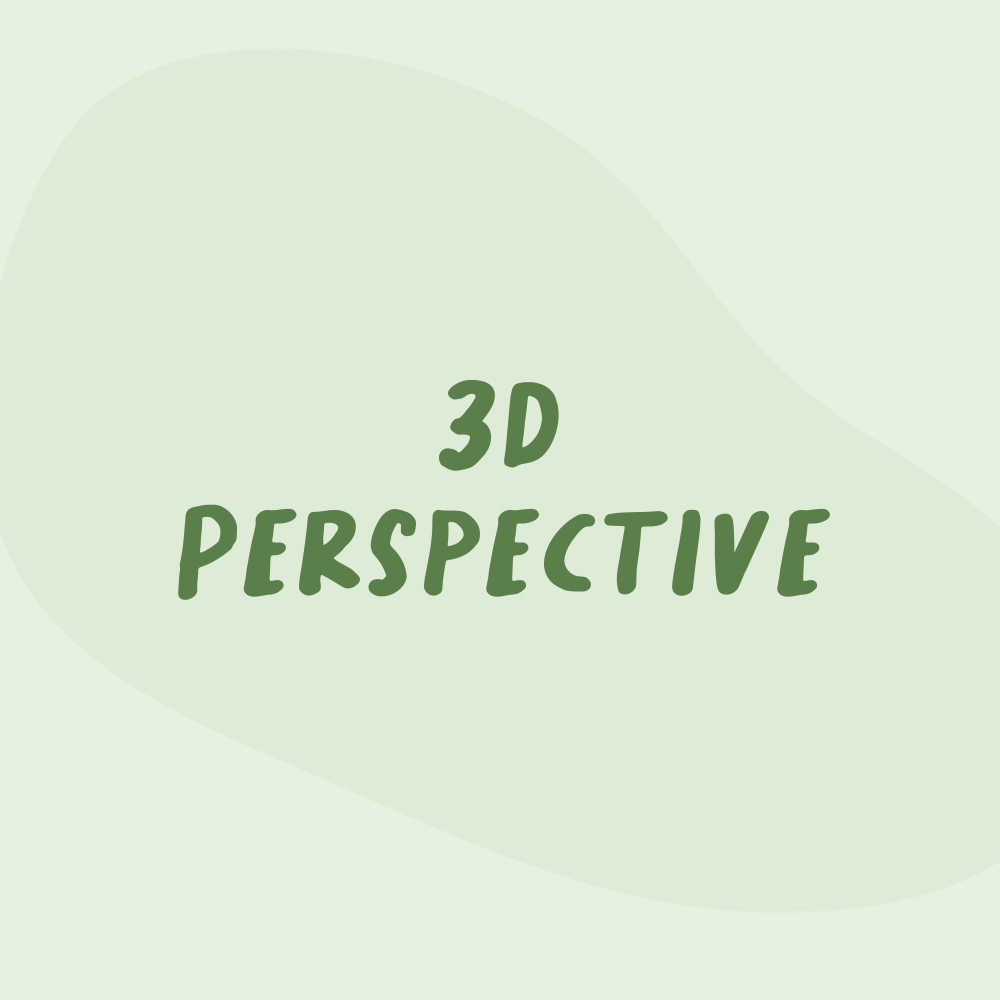 3D Perspective