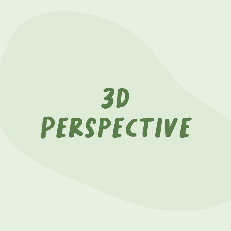 3D Perspective