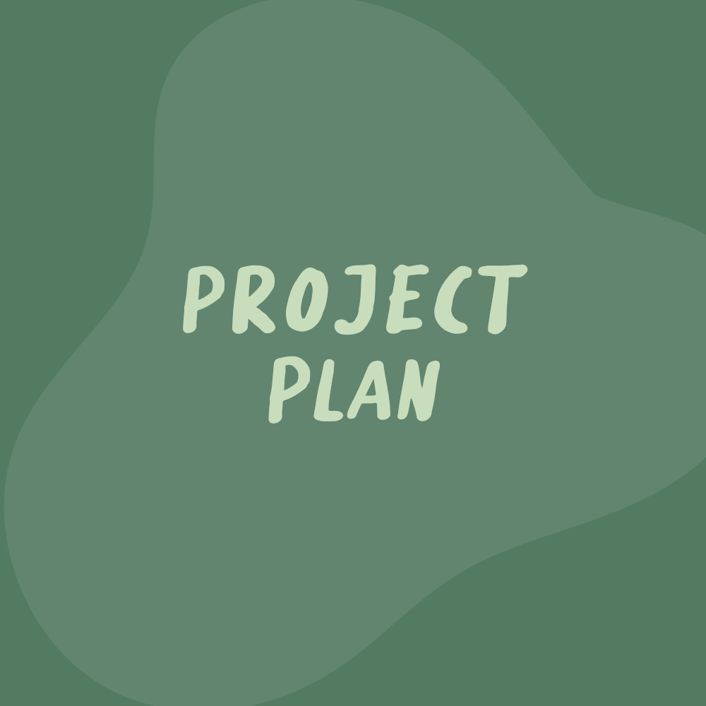 Project Plan